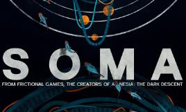 活体脑细胞/Soma（V1.6）