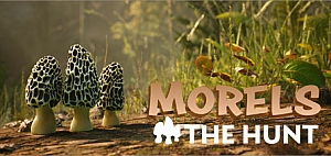 羊肚菌：狩猎/Morels：The Hunt
