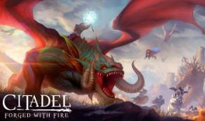 堡垒:火焰之炼/Citadel: Forged with Fire