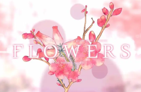 花：夏篇/Flowers -Le volume sur ete-