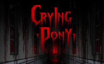 哭泣的小马/Crying Pony