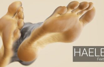 足部造型模拟器/HAELE 3D – Feet Poser Lite