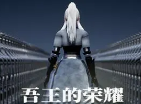 吾王的荣耀/Honor of Knight King