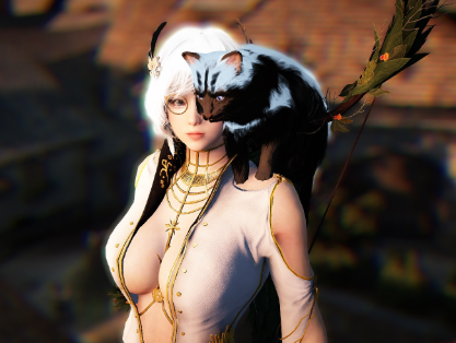 黑色沙漠单机版中文一键端台湾服GM工具PC电脑网络游戏珍珠捏脸包