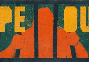 猿人逃出/APE OUT