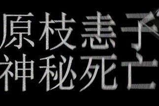 原枝恚子神秘死亡案/Case of the mysterious death of Keiko Haraeda