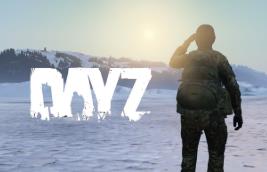 端游：DayZ-1.10一键服务端+客户端+MOD+配套教程
