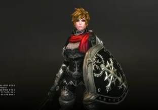 更新版《Z骑兵》单机版5职业版带内置GM后台，画质和打击感都很好的游戏