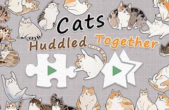 挤在一起的猫猫/Cats Huddled Together