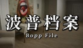 波普档案/Bopp File