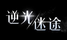 逆光迷途/Lost In Dark Light（V3560+集成Build.11076889升级档+中文语音）