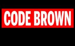 代号布朗/Code Brown
