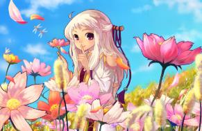 《彩虹岛》单机版核心S4端新版精修s1234+ABCDE版网单PC一键端