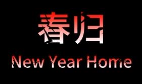 春归/New Year Home