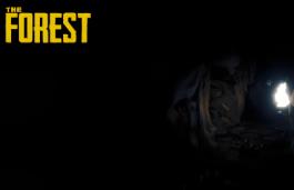 迷失森林/The Lost Woods（V1.02）