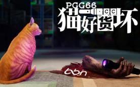 猫好货坏/Order 13