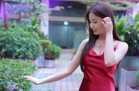 星梦轨迹/Star Dream Journey（已更新至V250411+集成全DLCs-中国式经纪人）