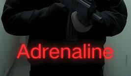 身摄实战:肾上腺素/Bodycam:Adrenaline