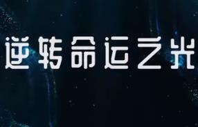 逆转命运之光/Destiny（V250522+集成全DLCs+Build.18516905升级档）