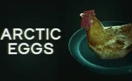 极地煎蛋/Arctic Eggs