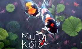 我的锦鲤池/My Koi（V250610+集成Build.13764963升级档）