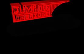 跳桥/Jump Off The Bridge（V1.2.6.2）