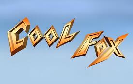 台湾酷狐/Taiwan Coolfox