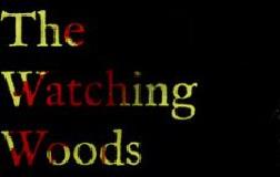 凝视之林：虱子/The Watching Woods: The Louse