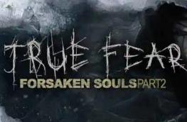 真实恐惧：被遗弃的灵魂2/True Fear: Forsaken Souls Part 2