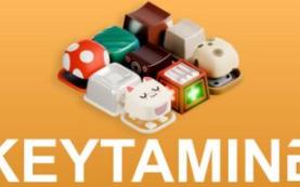 键盘大战/Keytamine