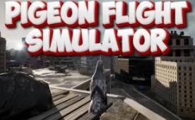 鸽子飞行模拟器/Pigeon Flight Simulator