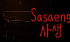 私生饭/Sasaeng