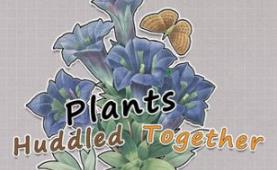 挤在一起的植物/Plants Huddled Together