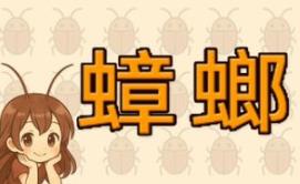 蟑螂！/Cockroach!