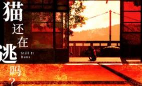 猫还在逃吗？/Still It Runs