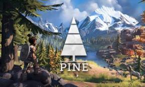 松树/Pine