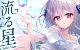 流星 -a wish star-/流る星 -a wish star-