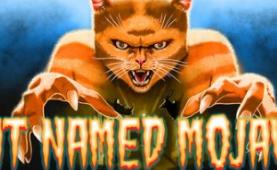 莫哈维之猫/Cat Named Mojave