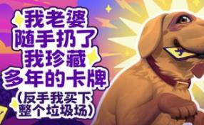 老婆随手扔了我多年珍藏卡牌/My Wife Threw Out My Card Collection