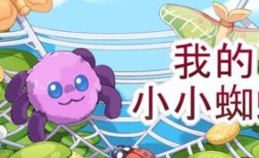 我的小小蜘蛛/My Little Spider