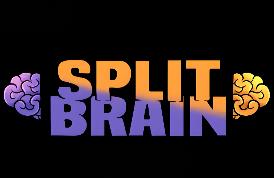 裂脑/Split Brain