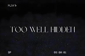 藏得太深/Too Well Hidden