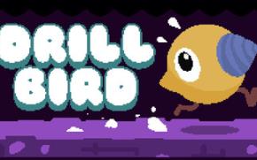 钻头鸟/Drill Bird
