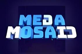巨型拼图/Mega Mosaic