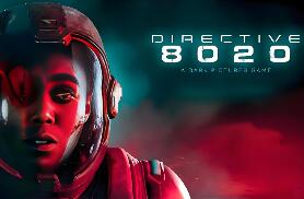 8020号指令/Directive 8020