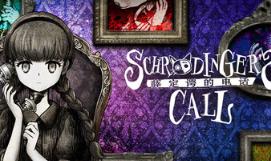 薛定谔的电话/Schrödinger’s Call