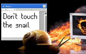 别碰蜗牛/Don’t Touch the Snail