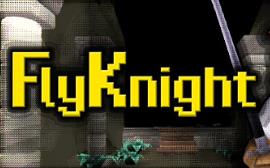 苍蝇骑士/FlyKnight