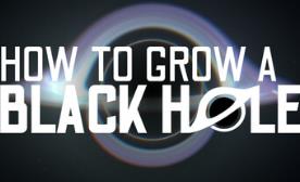 如何培育黑洞/How To Grow a Black Hole