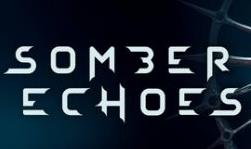 沉寂回响/Somber Echoes